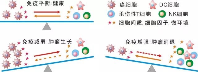 免疫細(xì)胞存儲(chǔ)