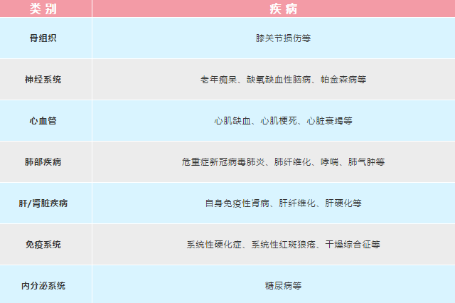 什么是臍帶間充質(zhì)干細(xì)胞